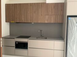 Parksuites (D10), Apartment #394034851